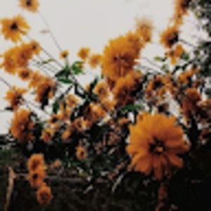 Meet your Posher, Nadia